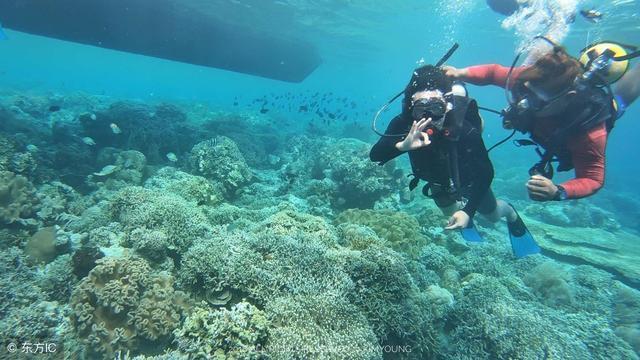 123澳门正版资料老玩家